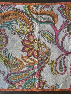 EUC Xhilaration Quilted Sham set of 2